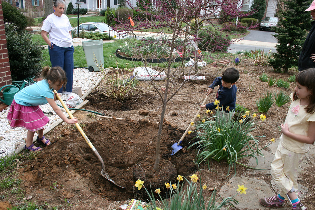 Education and Environmental Action